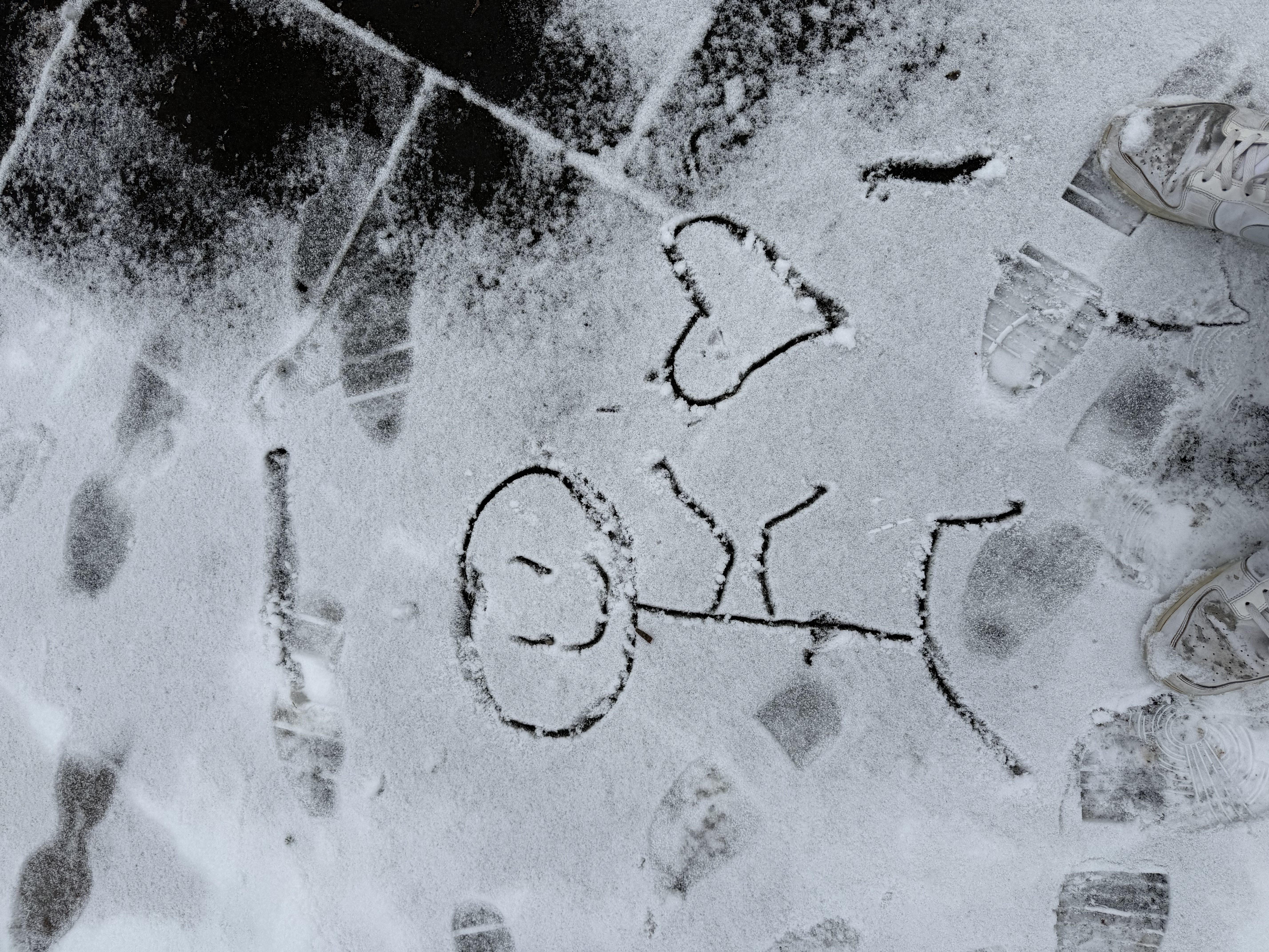 Windmill view from the Netherlands