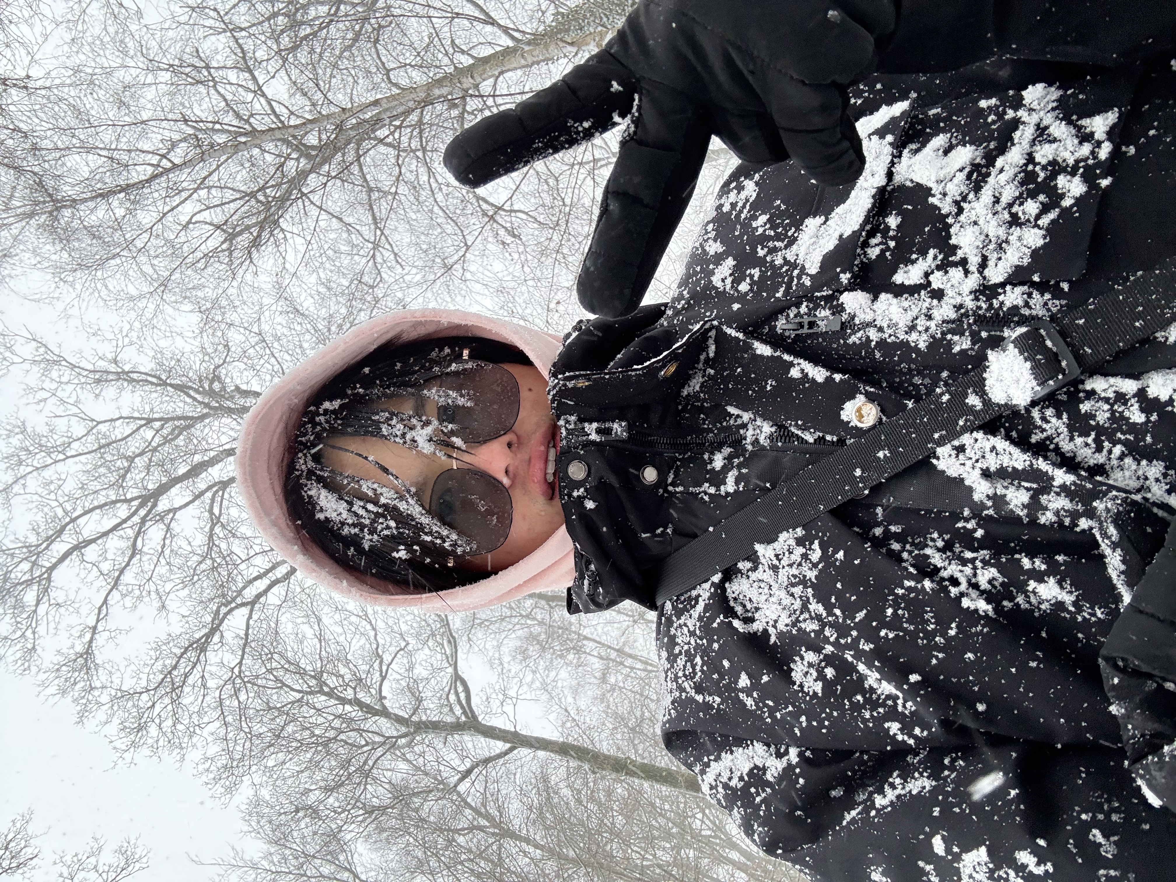 Snowy scene from the Netherlands